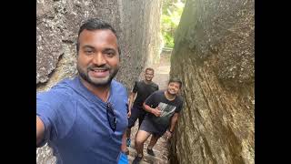 Glow worm tunnel in Blue mountains.