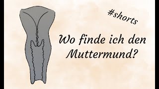 Was ist der Muttermund und wo finde ich ihn?