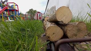 "Ride The Logger" on my Louise Valley Lbr.Co.