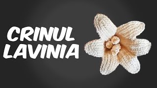 CRINUL Lavinia