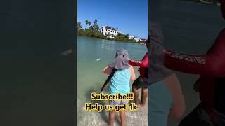 BIG SNOOK! subscribe #susbcribe #fishing #snook #saltwater #trending #viral #fypシ゚viral #florida