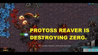 PROTOSS REAVER IS DESTROYING ZERG