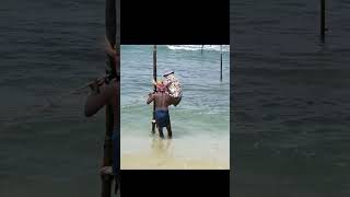 Traditional Stilt Fishing In Sri Lanka - The Ultimate World Cruise.