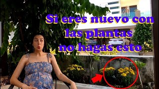 Los errores del jardinero principiante y cómo solucionarlo| No falles en ser señore de las plantas