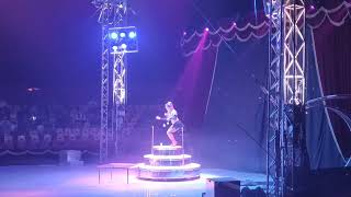 Vegas Circus || Experience the world famous American circus