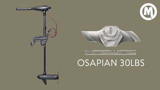 Электромотор Haswing Osapian 30 Lbs. Обзор