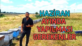 Haziran Ayında Arılara Yapılması Gerekenler | Haziran Ayında Ne Yapmalıyız Arı Kontrolleri Ne fayda