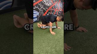 Try these crawls for better shoulder mobility, stability, and core strength #bjj #strengthtraining