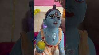 Jai Shree Krishna 🙏🌸 #shorts #ytshorts #youtube #viral @laddugopalpyaro06