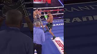 Vasyl Lomachenko Boxing Clinic vs Teofimo Lopez