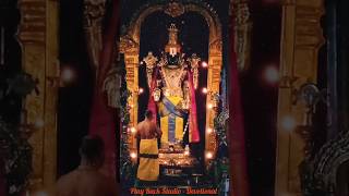 Sri Balaji Darshan| Om Sri Narayana | Jai Sri Vishnu | Om namo Venkatesha| Sri Perumal| Tirupati