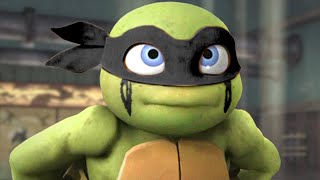 Baby turtles journey - #tmnt