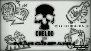 Cheloo feat. Margineanu - O zi ca oricare alta (Slowed)