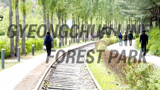 Walking Along Gyeongchun Line Forest Park Seoul 경춘선숲길