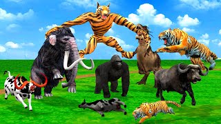 Giant Tiger wolf Attacks Dinosaur Chase Cow Cartoon Buffalo Gorilla Saved By Woolly Mammoth Elephant