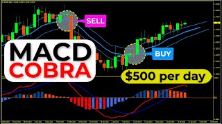 🔴 MACD COBRA - Now You Can Make $500 Per Day (Easy SCALPING and SWING Trading Strategy)