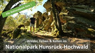 Nationalpark Hunsrück Hochwald: Wälder, Felsen & Kelten #wandern #nationalpark #rheinlandpfalz