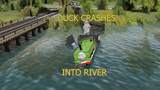 Duck crashes into river