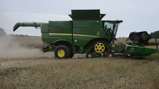 Harvest 2023 - Brand New John Deere S785 Combine Cutting OSR