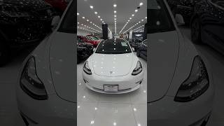 Tesla Model 3 | Performance vs Standard Variant. Your call !