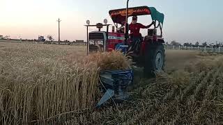 मैसी ट्रैक्टर पर गेहूं काटने बाली मशीन| 🚜😍 Greenland Repear bainder machine| #tractor #repearbainder