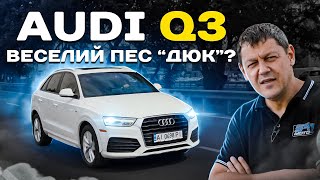 AUDI Q3: ВЕСЕЛИЙ ПЕС "ДЮК"