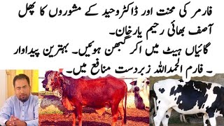 Farm Zabrdst profit ma - Dr Waheed Consultation - heat ma na any wali cows heat ma ayeen