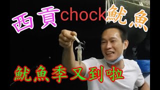 【西貢chok魷魚】《魷魚季又到啦》