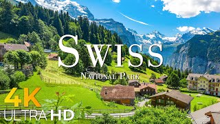 Swiss National Park 4K - Journey Through Alpine Splendor and Pristine Wilderness - 4K Video Ultra HD