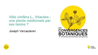 Convergences botaniques 2023 - 16. Les polyphénols de la vigne (Joseph Vercauteren)