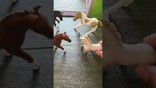 Schleich horse transition ￼