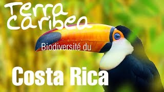 La biodiversité du Costa Rica avec Terra Caribea