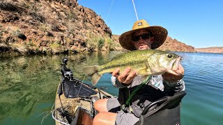 Kayak "Big Bass" Fishing (Lake Havasu, AZ)