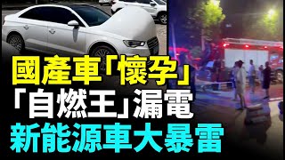 太奇葩！國產車「懷孕」；新能源車成爲不定時炸彈；自燃王比亞迪被曝漏電；新能源車大暴雷