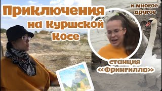 Приключения на КУРШСКОЙ КОСЕ // невероятная красота 😍// обзорная экскурсия