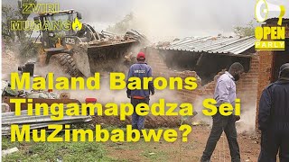 Zvirimugango | Nhau yemaland barons ingapedzwe sei muzimbabwe