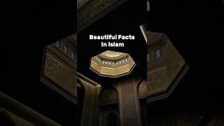 Beautiful facts in Islam♥️☪️#viral #shorts #islamicshorts #islamic