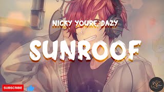 Nicky Youre, Dazy - Sunroof (Lyrics)