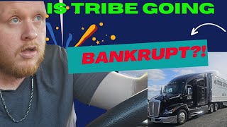 Does Tribe Pay me? | Are they going Bankrupt? | Mass Layoff!