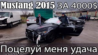 Ford Mustang 2015 год за 4000$ утопленник. Пробуем завести [IAAI Copart]