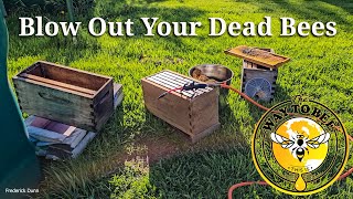 Remove Dead Bees From Honey Comb with LP Air, Beekeeping Quick Tip, Dead-Out cleanup.