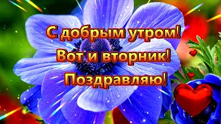 С добрым утром! Вот и вторник! Поздравляю!🌞🌺🌺🌺 Красивая музыкальная открытка со Вторником!💌