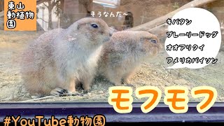 モフモフしたい子たち／東山動植物園［YouTube動物園］