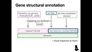 3.2_3 Annotation