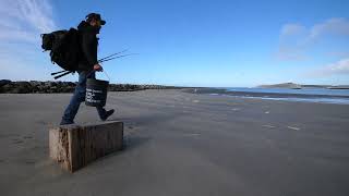 To the Jetty! Live Bait Everywhere!