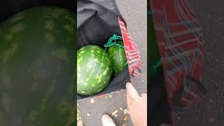 На своём транспорте🍉🚜🙃 #здороваяеда #настроение