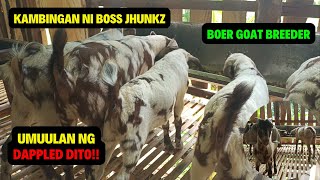 PAG BISITANG MULI SA KAMBINGAN NI BOSS JHUNKZ NG CALATAGAN BATANGAS/GOAT FARMING/BOER GOAT BREEDER