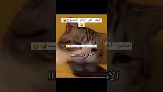 كيف تمر أيام الأسبوع 🤣🤣 مين عم يحس هيك 💖 #روتيني_اليومي #يومياتي