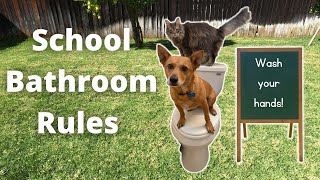 Professor Ginger and Axle Help Teach School Bathroom Rules