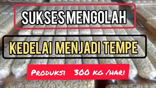 SUKSES USAHA PEMBUATAN TEMPE || KAPASITAS PRODUKSI CAPAI 300 KILO PER HARI~Dunia Kita Official